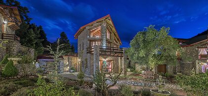 ViP Chalet 4 seasons