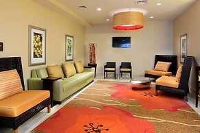 Hilton Garden Inn Greensboro Airport