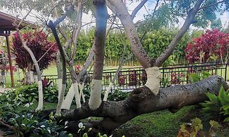 Hotel Boutique Cibeles Resort