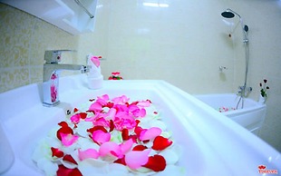 Vega Star Hotel