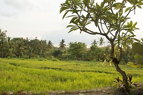 Mesari Hotel Ubud