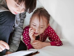 ibis budget Basel City