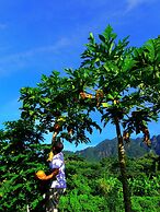 Yakushima Cottage Morino Fairy