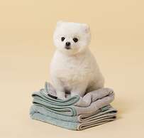 The Mauna Ocean Resort