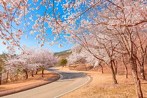 The Mauna Ocean Resort