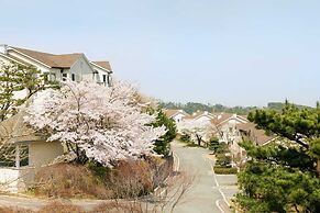 The Mauna Ocean Resort