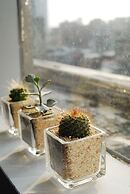 Inn Cube Taipei Main Station