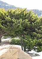 Adikri Villas & Suites