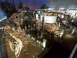 Ooedo Onsen Monogatari Premium Seiunkaku