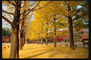 24 Guesthouse Seoul Cheongryangri