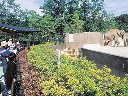 Ooedo Onsen Monogatari Wanwan Resort Awazu