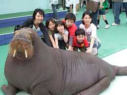 Ooedo Onsen Monogatari Premium Toba Saichoraku