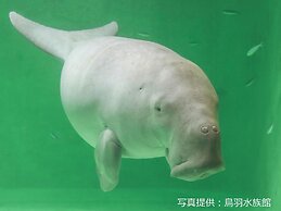 Ooedo Onsen Monogatari Premium Toba Saichoraku