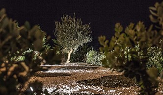 Halcyon Suites and Villas Naxos