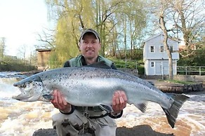 Långasjönäs Camping & Stugby