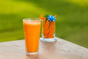 The LifeCo Antalya Well-Being Detox Center