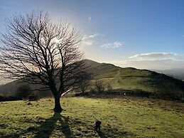 Orchard Side Bed and Breakfast