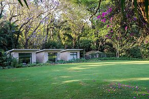 Hotel Amomoxtli