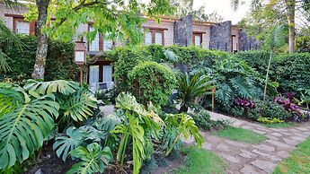 Hotel Amomoxtli