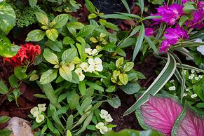 Centrally Located Guest Apartments