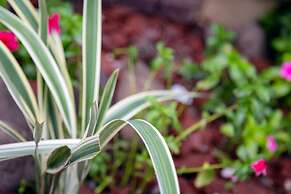 Centrally Located Guest Apartments