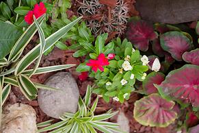 Centrally Located Guest Apartments