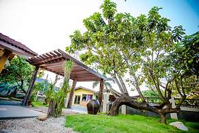 Tree Home Plus Home Stay