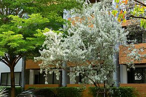 The Silver Palm Wellness Resort