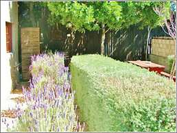 Tourist Lodge Gansbaai