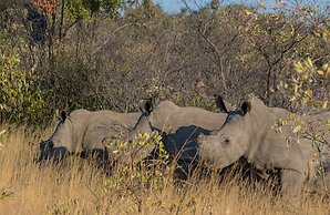 Big Cave Camp - Lodge On The Rocks