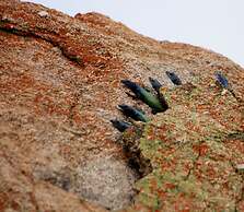 Big Cave Camp - Lodge On The Rocks