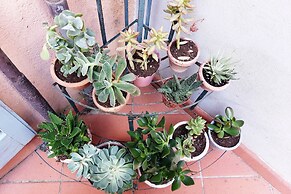 Bellezza al Colosseo B&B and Apartments