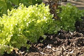 Torburnlea Homestead Luxury Accommodation