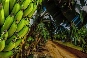 Kumbali Country Lodge