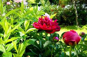 Glory Inn Downtown Moncton