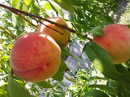 Glory Inn Downtown Moncton