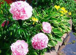 Glory Inn Downtown Moncton