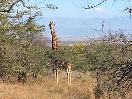 Winterton Country Lodge at Rose Cottage