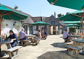 The White Swan