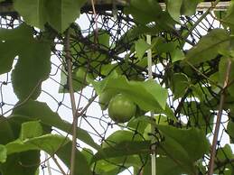 Gia Thanh Guest House