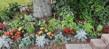 Wild Rose Bed & Breakfast