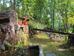 Cabañas de madera Sanabria