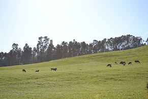 Vila Peregrina