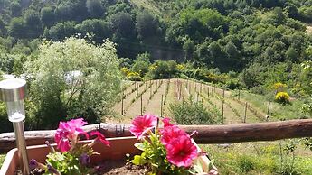 B&B Il Ghiro - Country House