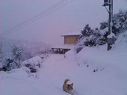 B&B Il Ghiro - Country House