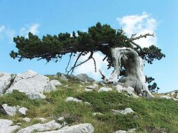 B&B Il Ghiro - Country House