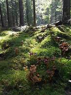 Wärdshuset Furuliden