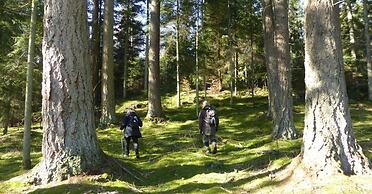 Wärdshuset Furuliden