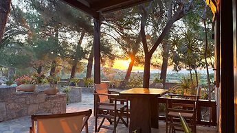 Stella's Traditional Inn