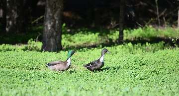 Quinta da Samoqueirinha